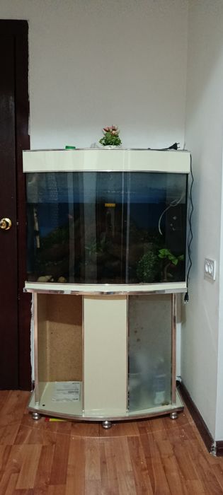 Продается аквариум с тумбой ,
 размеры
80*70*30 см.
Высота тумбы 70 см