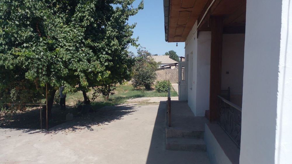 Срочна сотилади котта ховли