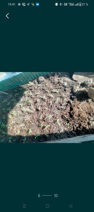 Продам дачу Текстильщик-2