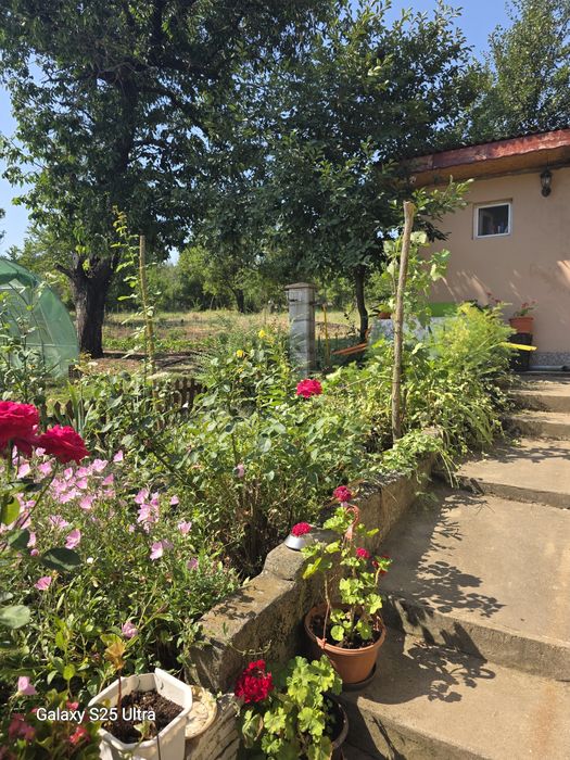 Продава се Къща в с. Сърпово, Област Силистра - 80 кв.м за 370 €/кв.м - Снимка #4