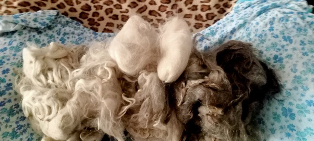 Продам шерсть ангора