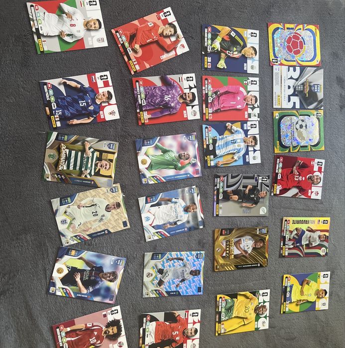 Carduri panini euro si wc26