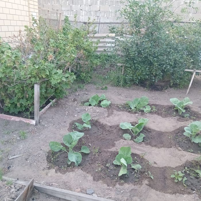 Продам дом в районе Мдс!