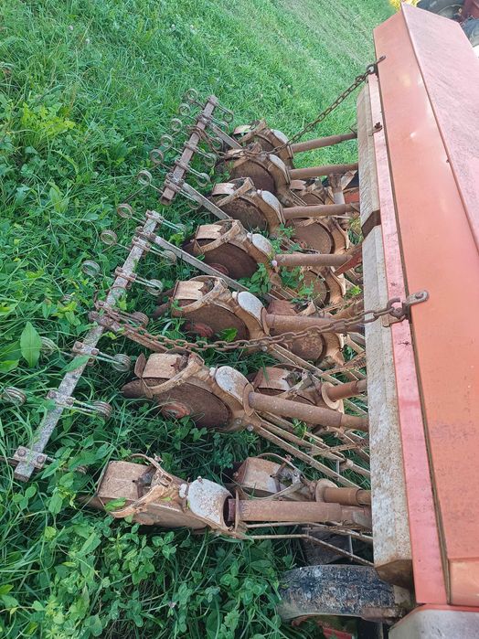 Semanatoare paioase pe discuri