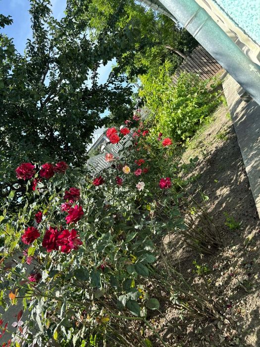 Casă  de caramida