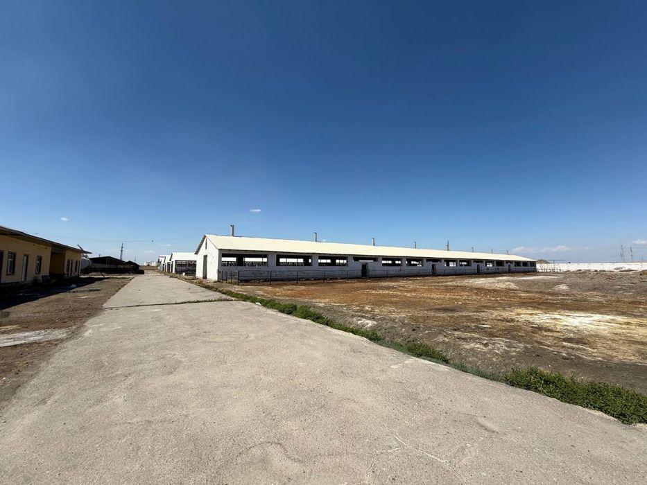 Tayyor 4,5 gektarli ferma sotiladi (Buxoro/kogon)