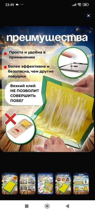 Липкая ловушка для мышей и крыс