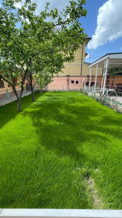 Газон Автополив Клевер