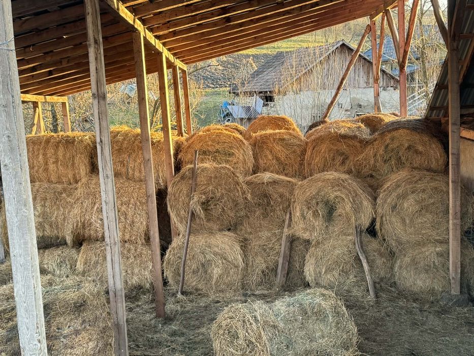 Vând 45 de baloți fân amestecat cu luțărnă 120×120