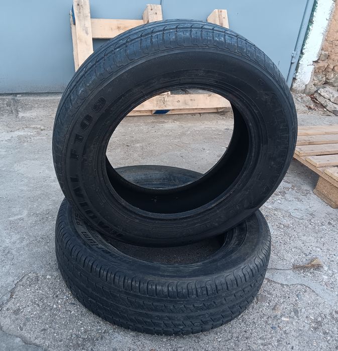 Minerva Radial 195/55/15