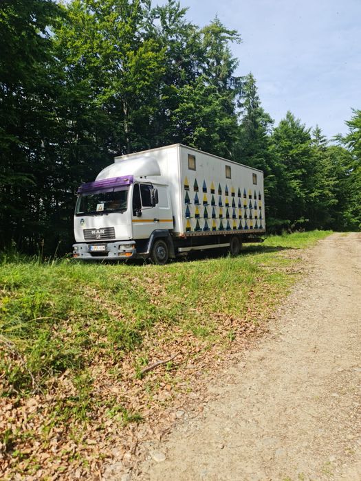 Vand Camion Apicol