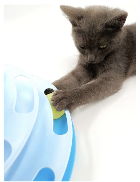 Игрушка для самостоятельных игр