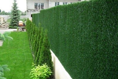 Suniy gazon va zabor