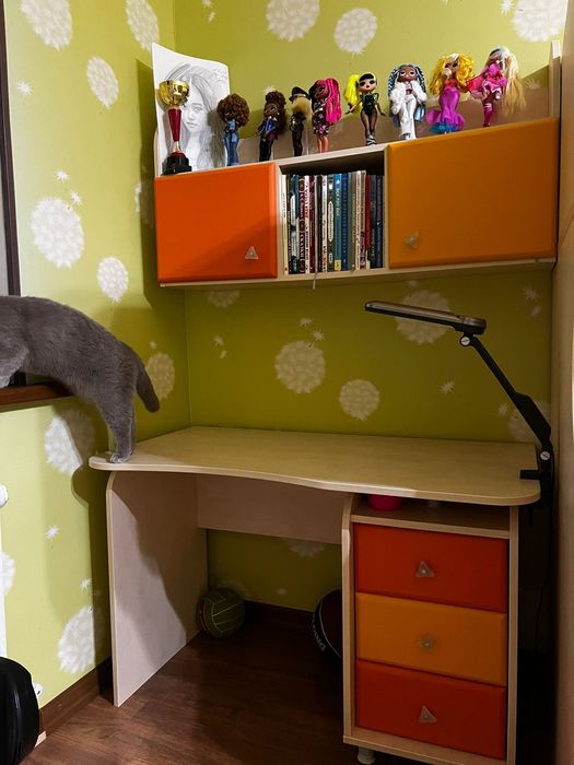 Детский гарнитур (на двоих детей)