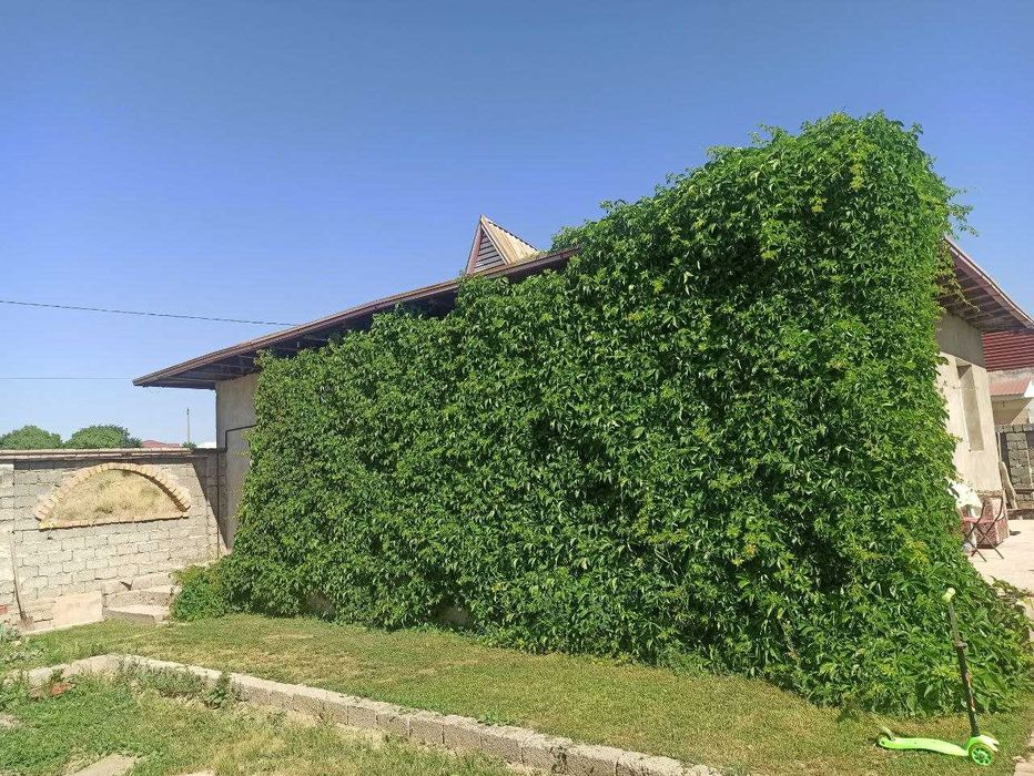 Продаётся загородный дом, 7.5 сот,Юкори-Чирчикский район, Нурли Замин