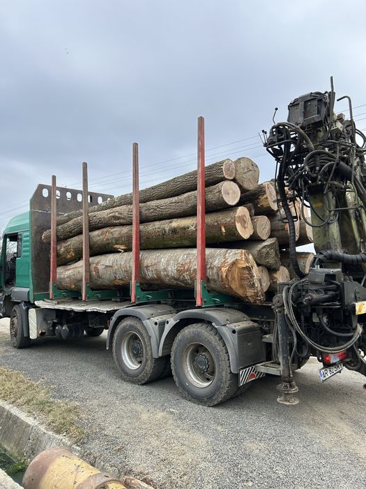 Transport Lemn de foc