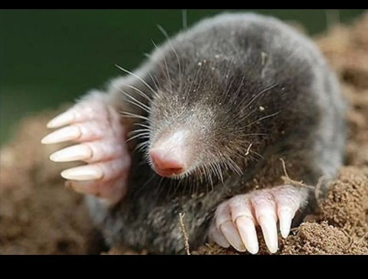 Услуги сантехника