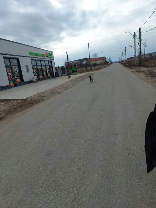 Teren intravilan Simnicul de Sus Floresti, utilitati