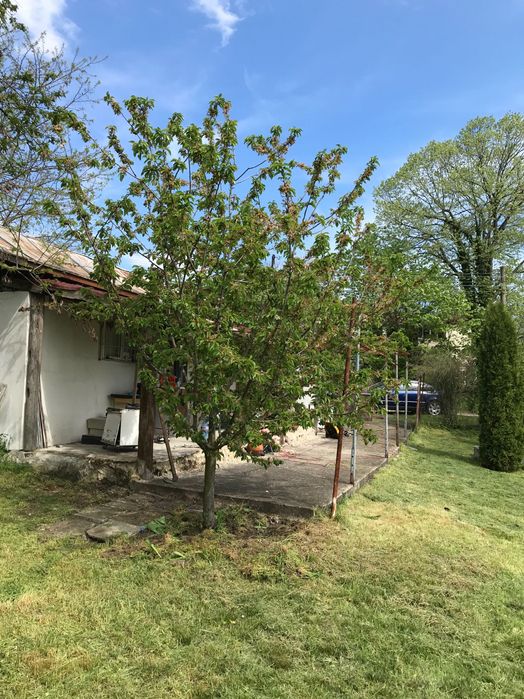 Продава се Къща в с. Крумово, Област Варна - 55 кв.м за 819 €/кв.м - Снимка #10