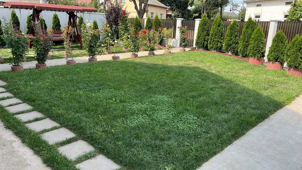 Gazon Rulou și sistem de irigatii