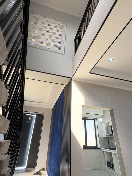 Pentxaus xovli kotej