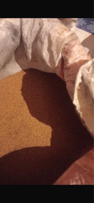 Жонышка ұрық бар 1 ші орым