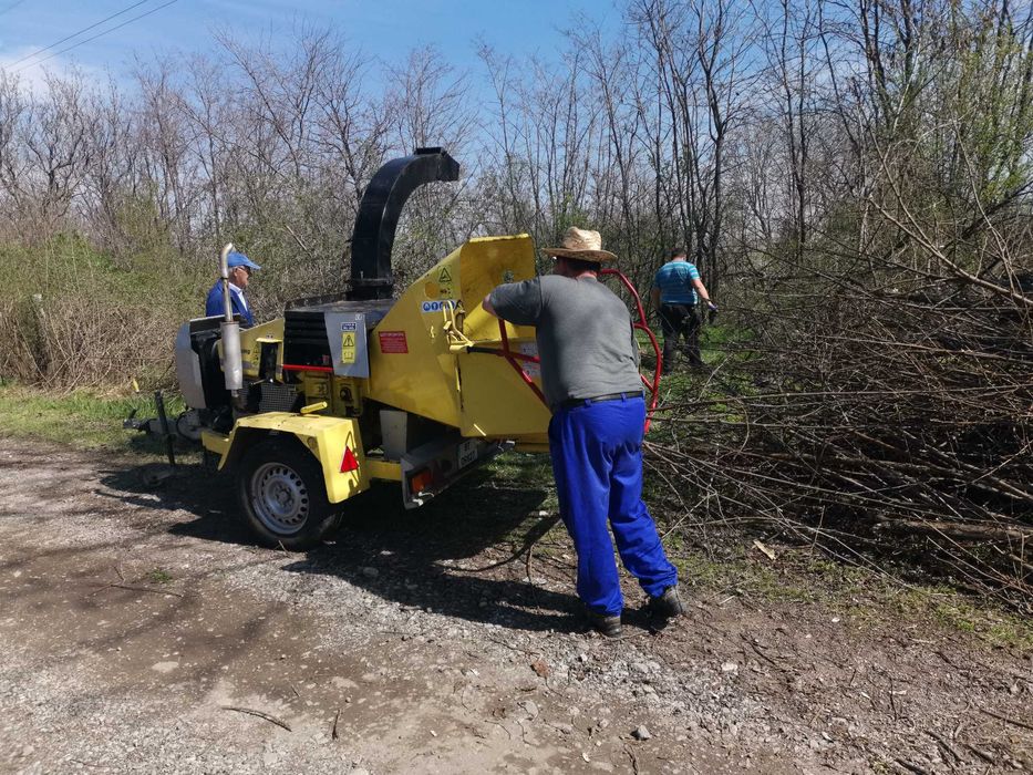 Услуги с дробилка за клони
