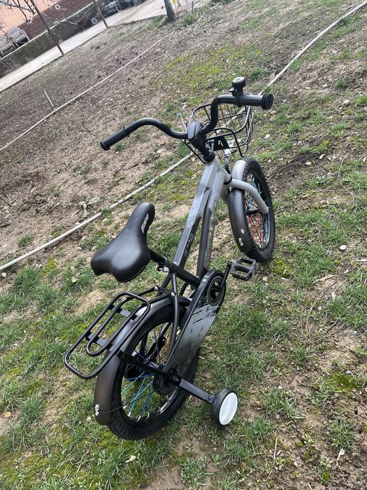 Велик барс новый