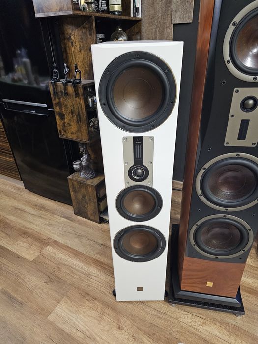 Vand boxe standfloor Dali Opticon 8