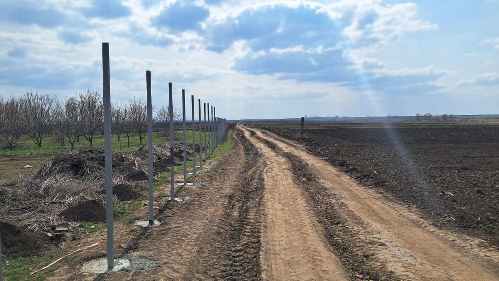 Vand loturi pentru gradina aproape de Vânători