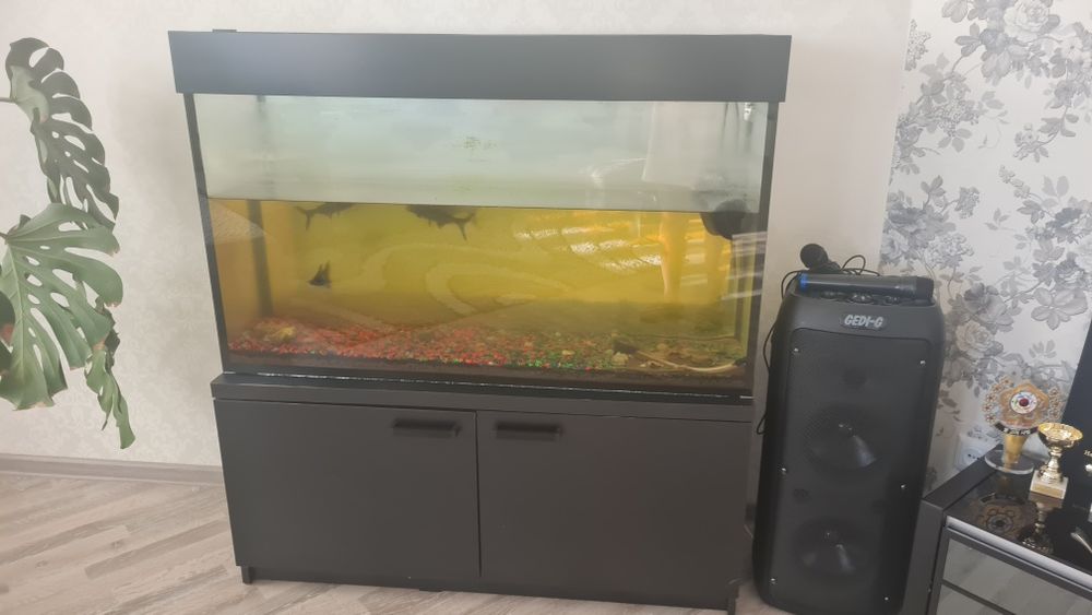 Продам аквариум с тумбой