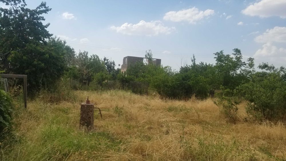 Продаётся дача 6 соток. Ташморе, Нурафшон, Тойтепа, кадастр ЕСТЬ!