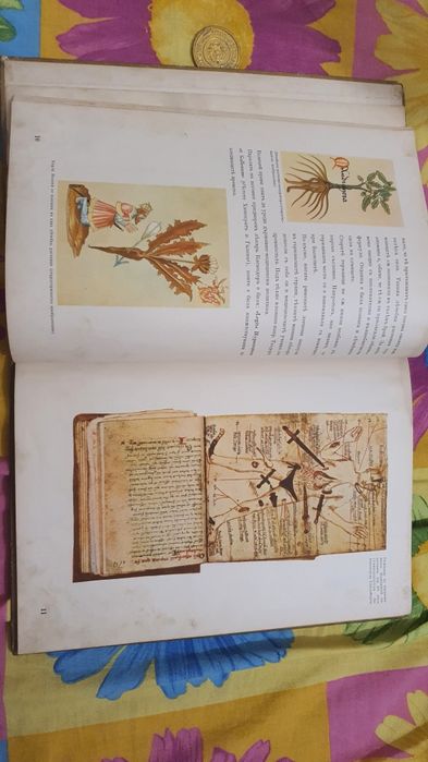 Лечебната наука едно време и днес