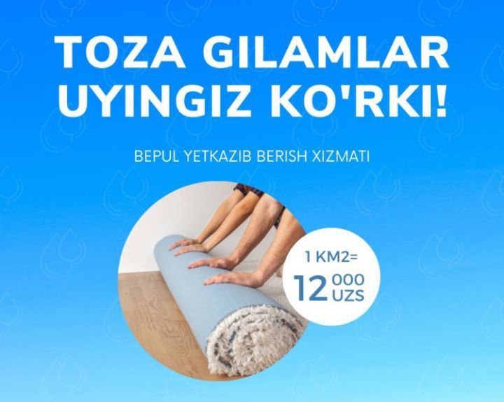 Koʻrpacha,  Adyoʻl, gilam, parda yuvish xizmati