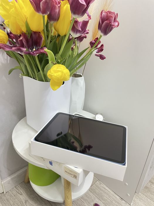 iPad 10th generation