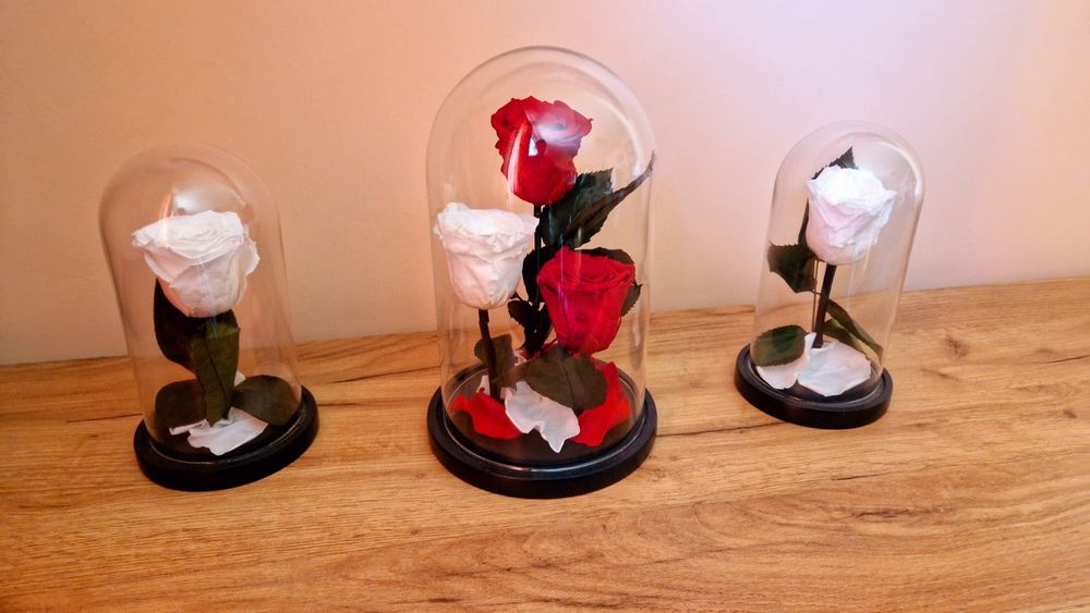 Trandafiri Criogenați – Cadoul care Durează Ani