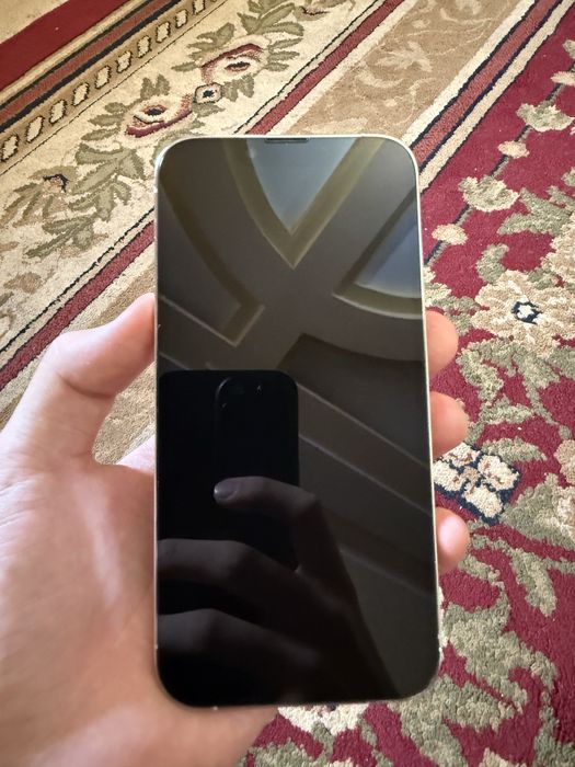 iPhone 13 pro