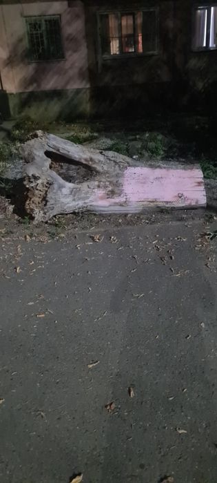 Дрова бесплатно, самовывоз