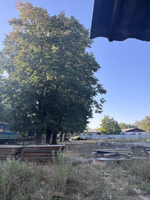 Proprietate unica intr-o oaza de verdeata