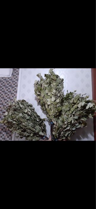 Веники березовые