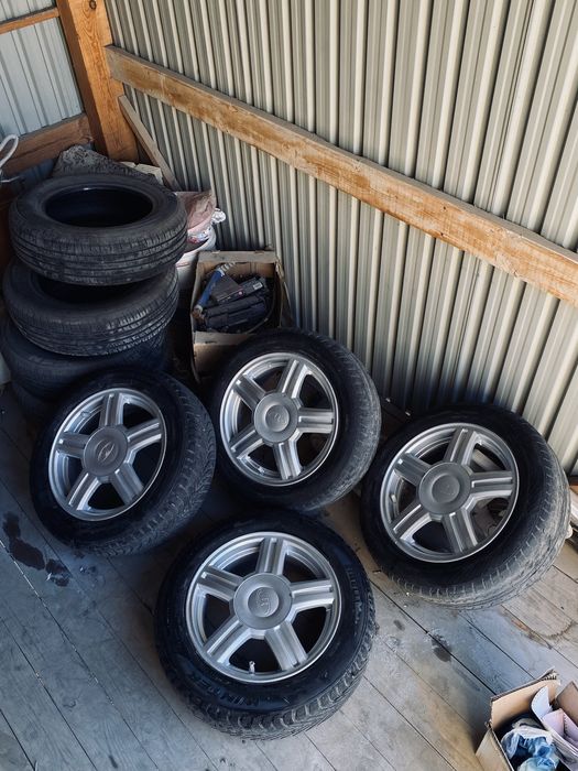 торус 15 срочно шымкент