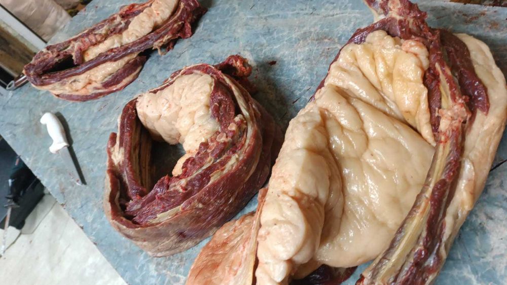 Мясо свежей конины I Жылқы еті