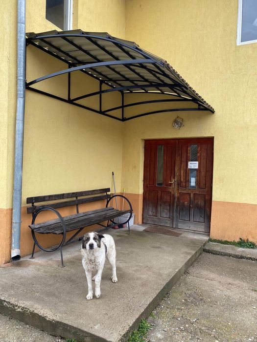 Vand copertina metalica