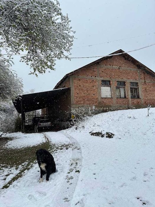 Продава се Промишлена сграда в с. Брезе, Област София-област - 12000 кв.м за 49 €/кв.м - Снимка #3