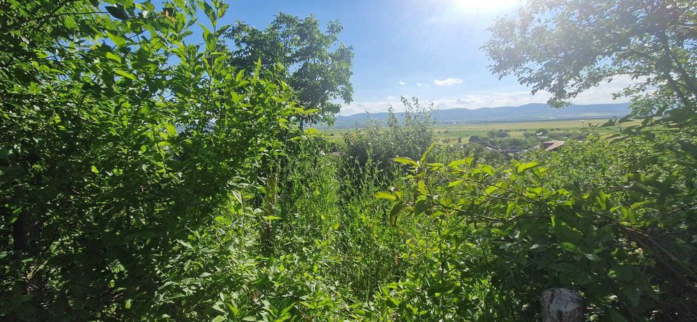 Teren Intravilan - GIOSENI, Bacau