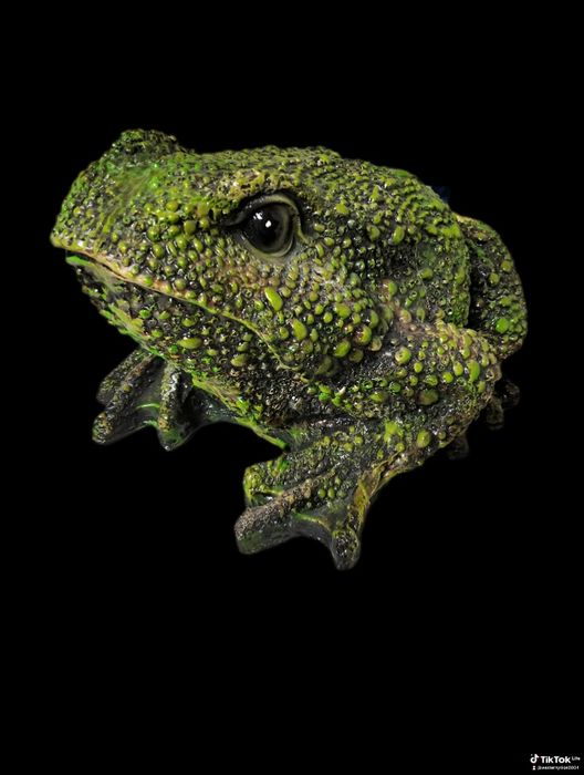 Садовые фигуры для сада