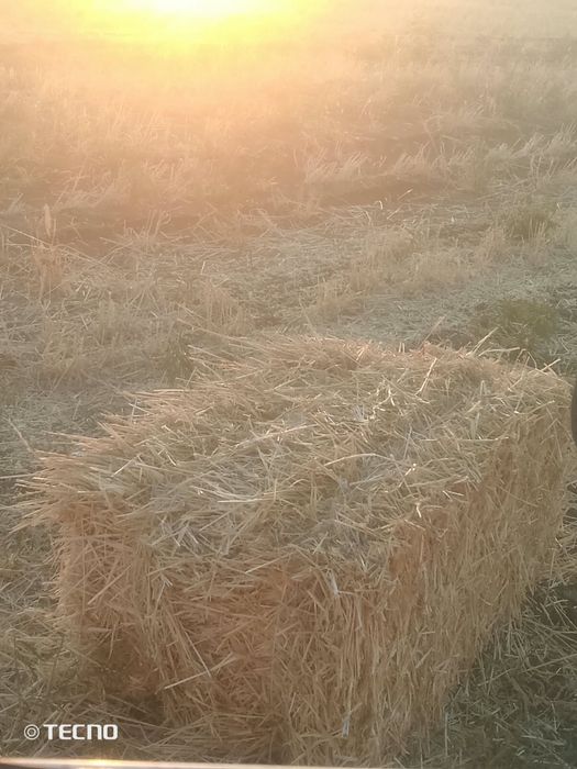 Продам солому в тюках