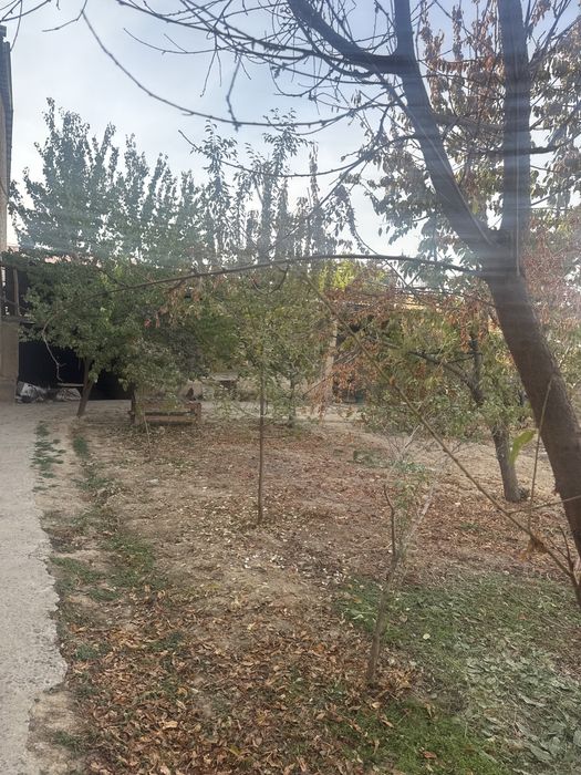 YER SOTILADI Nazarbek Turkistonda