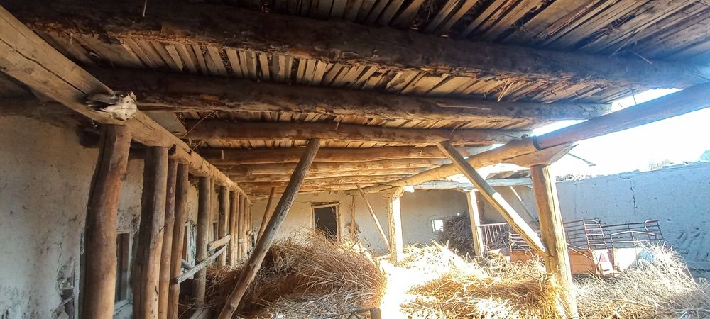 Боло харвасталар сотилади нархини келишамиз