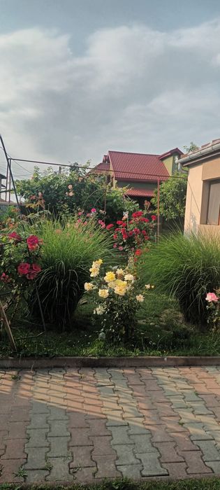 Casa de vanzare intr-un cartier  Rezidential in Caransebes!